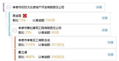 孝感市欣欣大眾房地產開發有限責任公司 工商信息、信用狀況與行業動態全方位解析
